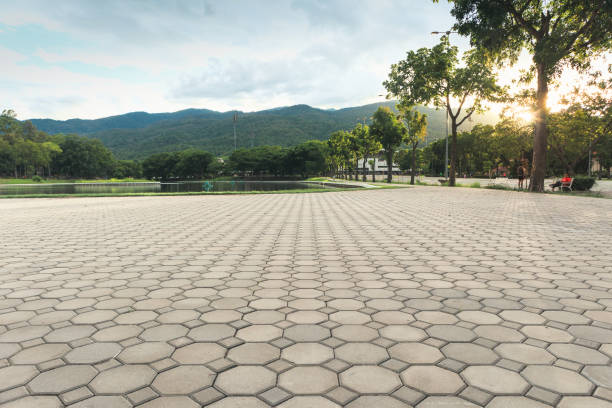 Best Decorative Driveway Pavers  in Hokendauqua, PA